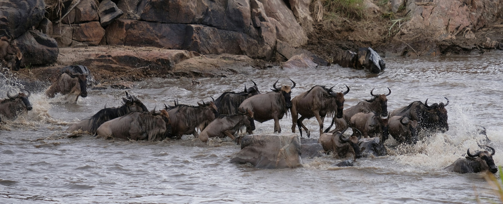 TANZANIA &ndash; SAFARI E LA GRANDE MIGRAZIONE